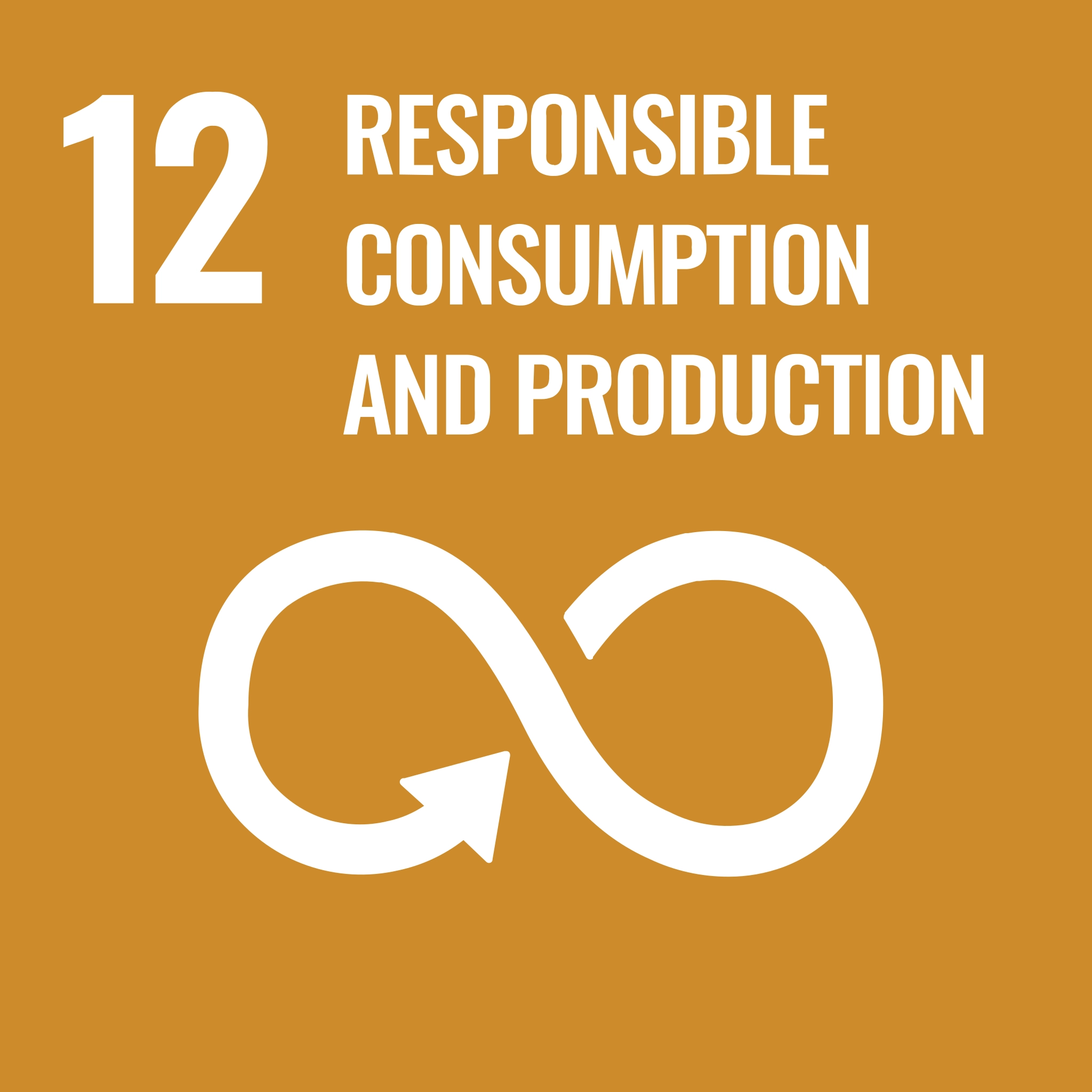 SDG #12