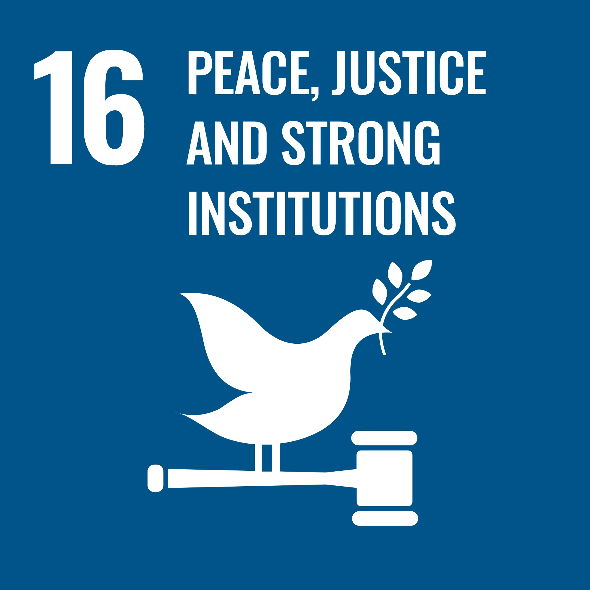 SDG #16